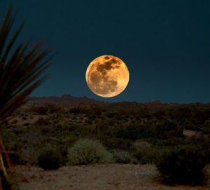 Moon desert